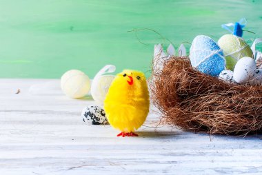 civciv ve yumurta yuvada