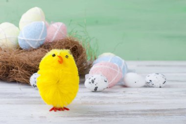 civciv ve yumurta yuvada