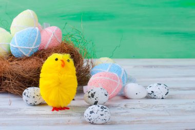 civciv ve yumurta yuvada