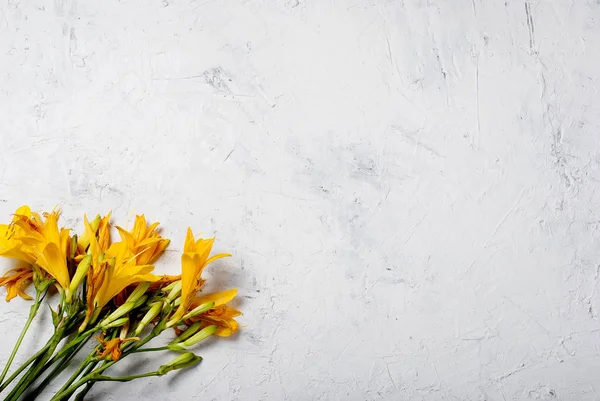 Buket gule liljer på beton hvid baggrund - Stock-foto