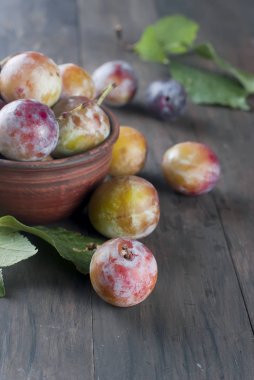 Eski ahşap masa üzerinde bir kapta bahçesinden taze Erik.