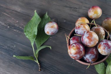 Eski ahşap masa üzerinde bir kapta bahçesinden taze Erik.