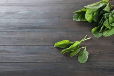 koyu ahşap arka plan üzerinde şube ıspanak