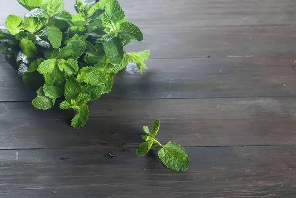Organik segar setangkai mint di atas meja kayu — Stok Foto