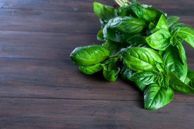 Koyu ahşap zemin üzerine yeşil taze fesleğen demet