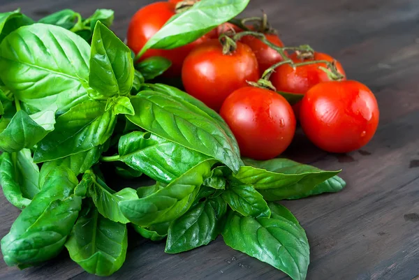 Domates ve koyu ahşap adam üzerinde taze yeşil fesleğen demet