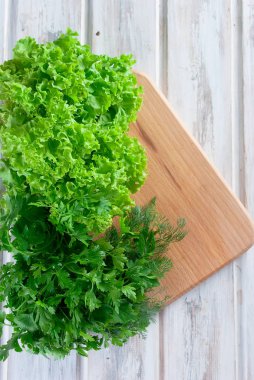 Taze yeşil l salata yaprakları, maydanoz ve dereotu