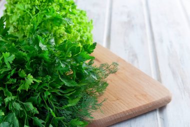 Taze yeşil l salata yaprakları, maydanoz ve dereotu