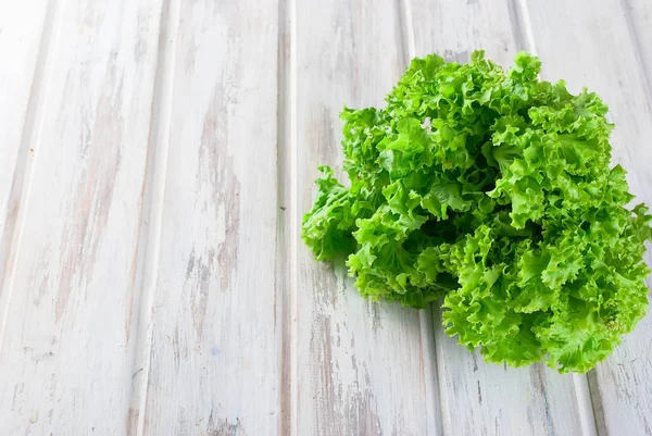 Taze yeşil l salata yaprakları