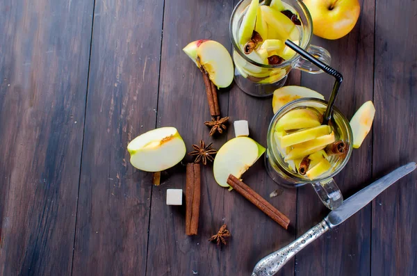 排毒水与苹果和香料-茴香、 肉桂 — 图库照片