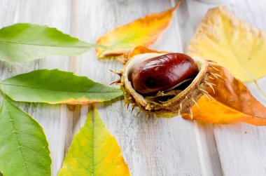 Kestane ve ahşap arka plan üzerinde sonbahar yaprakları 