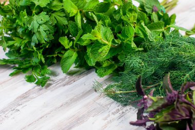 taze baharatlı otlar, dereotu, fesleğen, maydanoz, nane