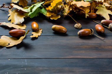 meşe palamutları ve Meşe yaprağı ile sonbahar arka plan