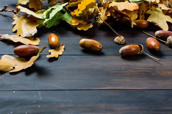 meşe palamutları ve Meşe yaprağı ile sonbahar arka plan