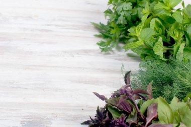 taze baharatlı otlar, dereotu, fesleğen, maydanoz, nane