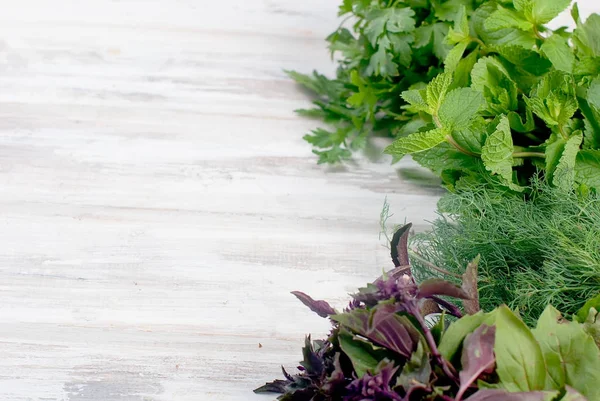 taze baharatlı otlar, dereotu, fesleğen, maydanoz, nane