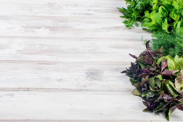 taze baharatlı otlar, dereotu, fesleğen, maydanoz, nane