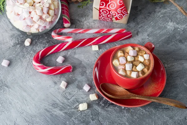 Fir   bumps cones, cocoa in red cup — Stock Photo, Image