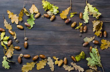 meşe palamutları ve Meşe yaprağı ile sonbahar arka plan