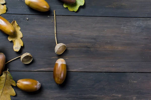 meşe palamutları ve Meşe yaprağı ile sonbahar arka plan