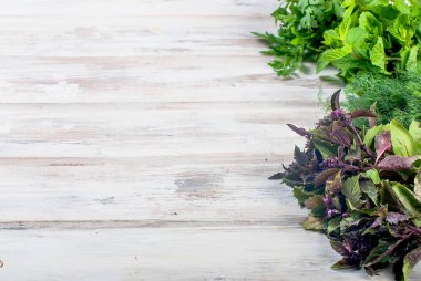 taze baharatlı otlar, dereotu, fesleğen, maydanoz, nane