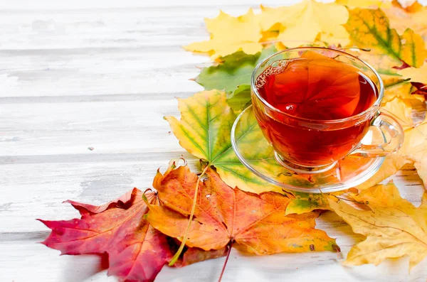 Осенние листья и чашка чая на деревянном столе — стоковое фото