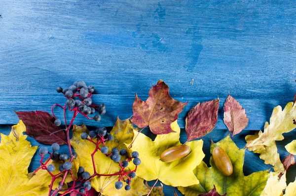 Folhas coloridas de bordo de outono na mesa de madeira — Fotografia de Stock