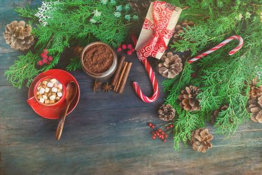 köknar koniler, koyu ahşap backgrou üzerinde kırmızı fincan kakao darbelere.