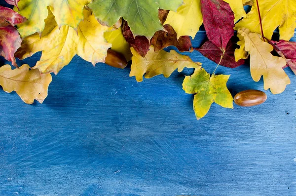 Coloridas hojas de arce de otoño en la mesa de madera —  Fotos de Stock