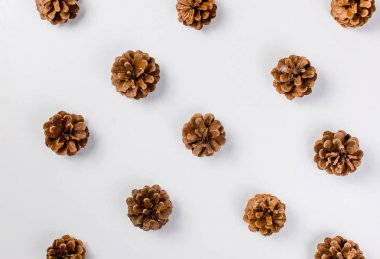 Beyaz arka plan üzerinde yayılmış koniler