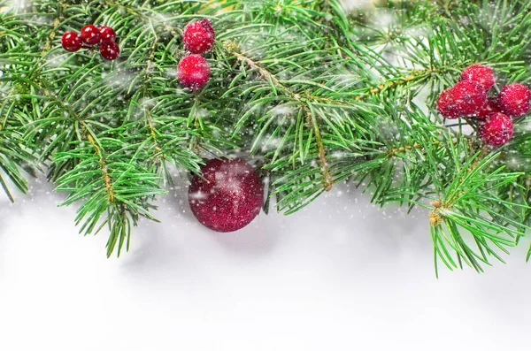 Різдвяний фон з ялицею, червоним м'ячем і зимовими ягодами — стокове фото