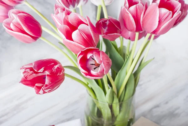 Аромат розовых тюльпанов крупным планом на сером фоне . — стоковое фото