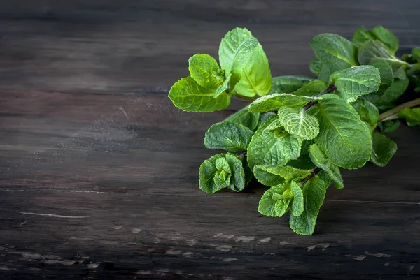 koyu ahşap arka plan dal nane