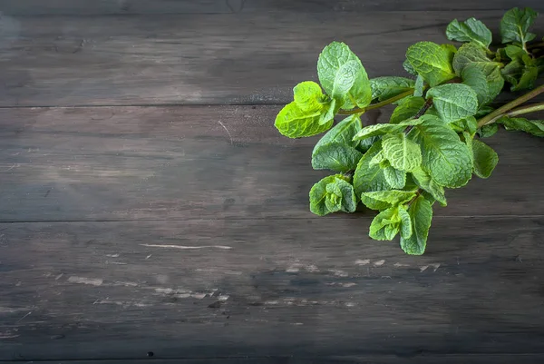 Rametti freschi biologici di menta sul tavolo di legno — Foto Stock