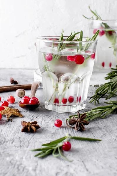 Cocktail med tranbär, rosmarin och is — Stockfoto
