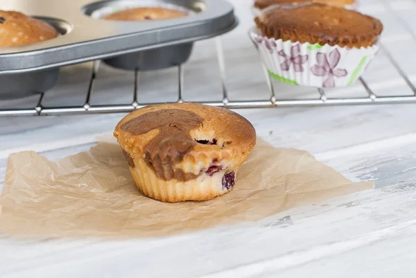 Homemade Chocolate and vanilla muffins — Stock Photo, Image