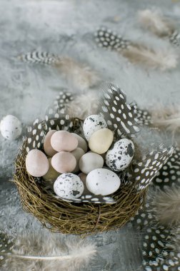 Dekoratif yumurta tatlılar yuvaya 