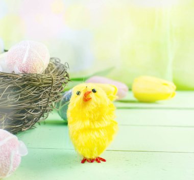Dekorotif oyuncakları yumurta yuvada 
