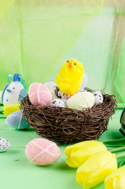 Dekorotif oyuncakları yumurta yuvada 