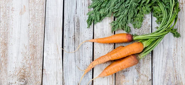 Nytvättat hela morötter med blad — Stockfoto