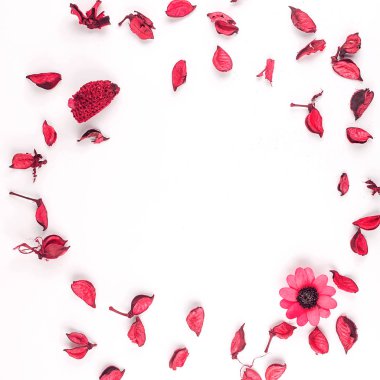 Çiçek kompozisyonu, çiçekler, taç yaprakları, tomurcuklar beyaz sırtlı