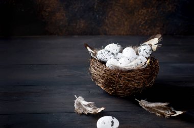 Süslü bıldırcın yumurtaları ve yuvasında tüyleri olan bir yuva ve karanlık bir arka plan. Bahar tatili konsepti. Boşluğu kopyala, şablon modelleme Paskalya tebrik kartı ile metin için yer,