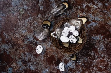 Paskalya dekoratif bıldırcın yumurtaları karanlık bir tahta masanın üzerinde. Bahar tatili konsepti. Boşluğu kopyala, paskalya kartı düzeni metin için yeri olan şablon,