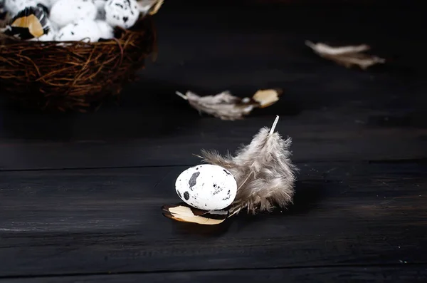 Nest Decorative Quail Eggs Feathers Nest Dark Background Spring Holiday — Stock Photo, Image
