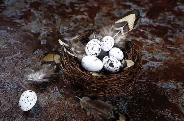 Easter decorative quail eggs in a nest on a dark wooden table. Spring holiday concept. Copy space, easter card layout template with place for text,