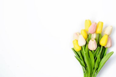 Bahar ya da tatil konsepti, beyaz arka planda bir buket lale. 8 Mart, Uluslararası Kadınlar Günü, doğum günü. Boşluğu, düzlüğü, metin için yeri olan şablon düzenleme tebrik kartını kopyala, 