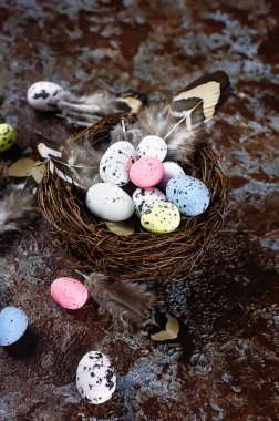 Paskalya dekoratif bıldırcın yumurtaları karanlık bir tahta masanın üzerinde. Bahar tatili konsepti. Boşluğu kopyala, paskalya kartı düzeni metin için yeri olan şablon,