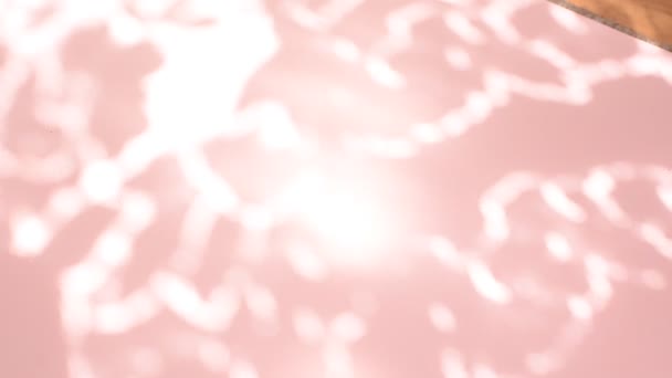 Κενό Ροζ Φόντο Κινούμενες Σκιές Κάτω Από Φυσικό Φως Της — Αρχείο Βίντεο