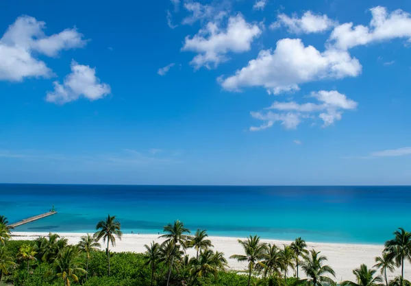 Vista de una playa y palmeras en un día soleado —  Fotos de Stock