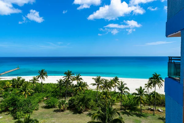 Utsikt över en strand och palmer i en solig dag — Stockfoto